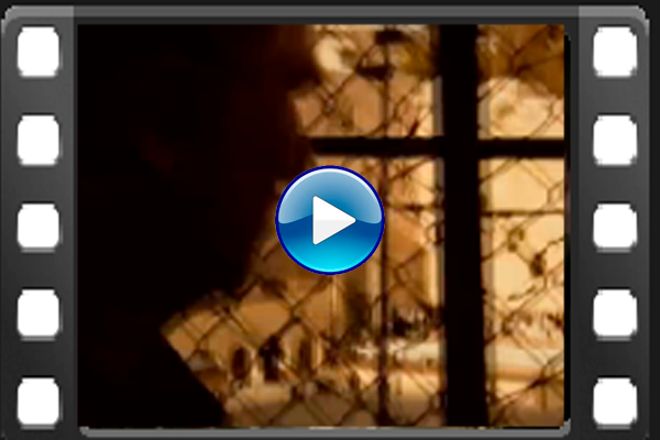 DEUS UM DELIRIO O VÍRUS DA FÉ