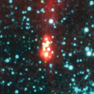 405538428863_695x695