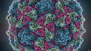 Os especialistas se perguntam se estes casos de paralisia estão relacionados com o surto de enterovírus EV-D68