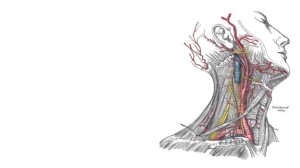 Há 10-15 milhões de anos