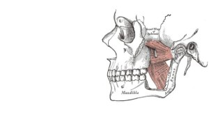 Há 2,4 - 5,3 milhões de anos