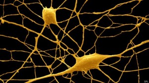 Há 3,2 milhões de anos