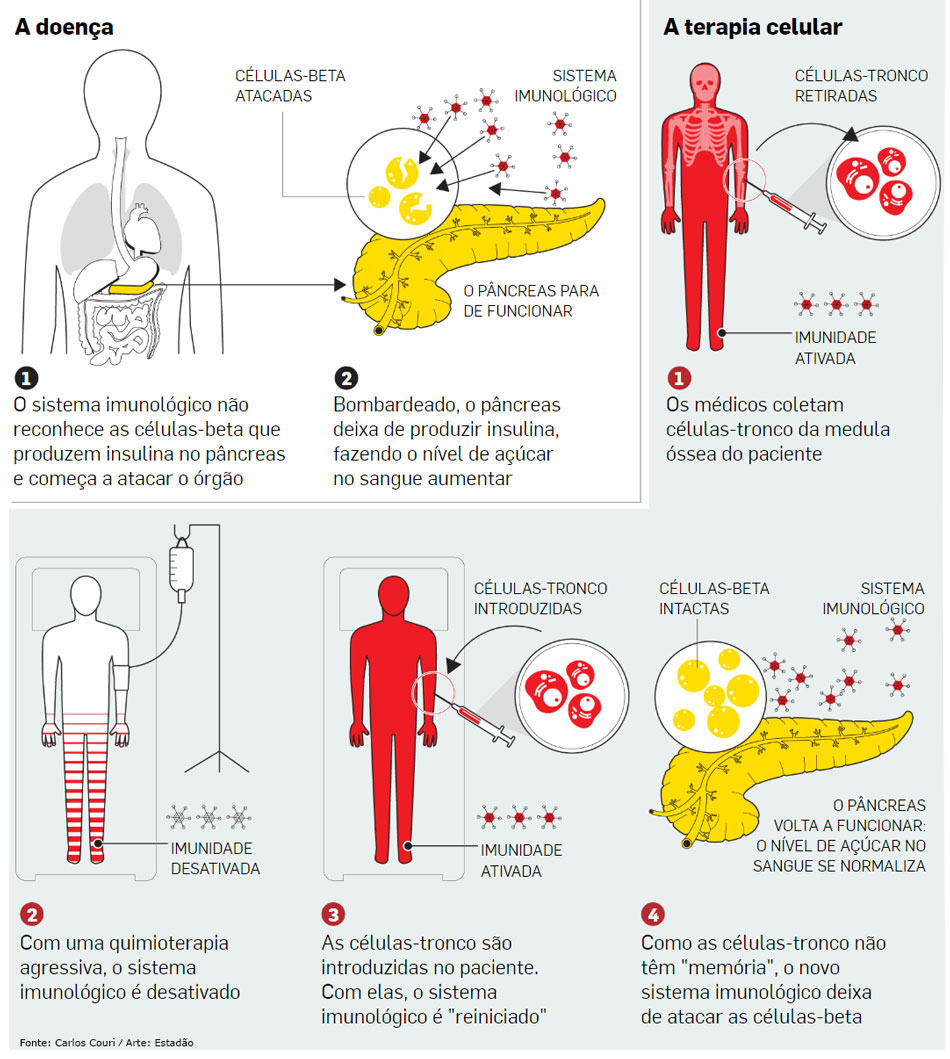 Células-Tronco e Insulina