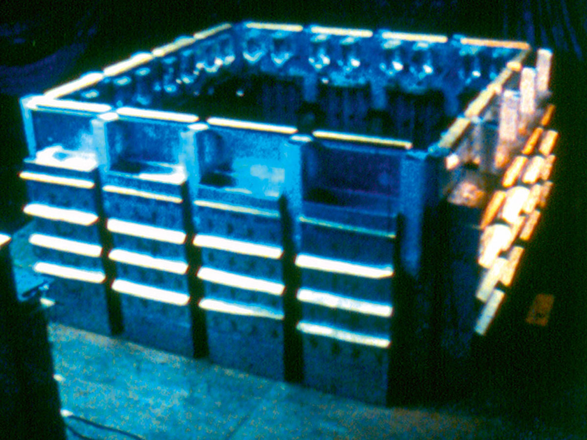 John B. Calhoun no laboratório