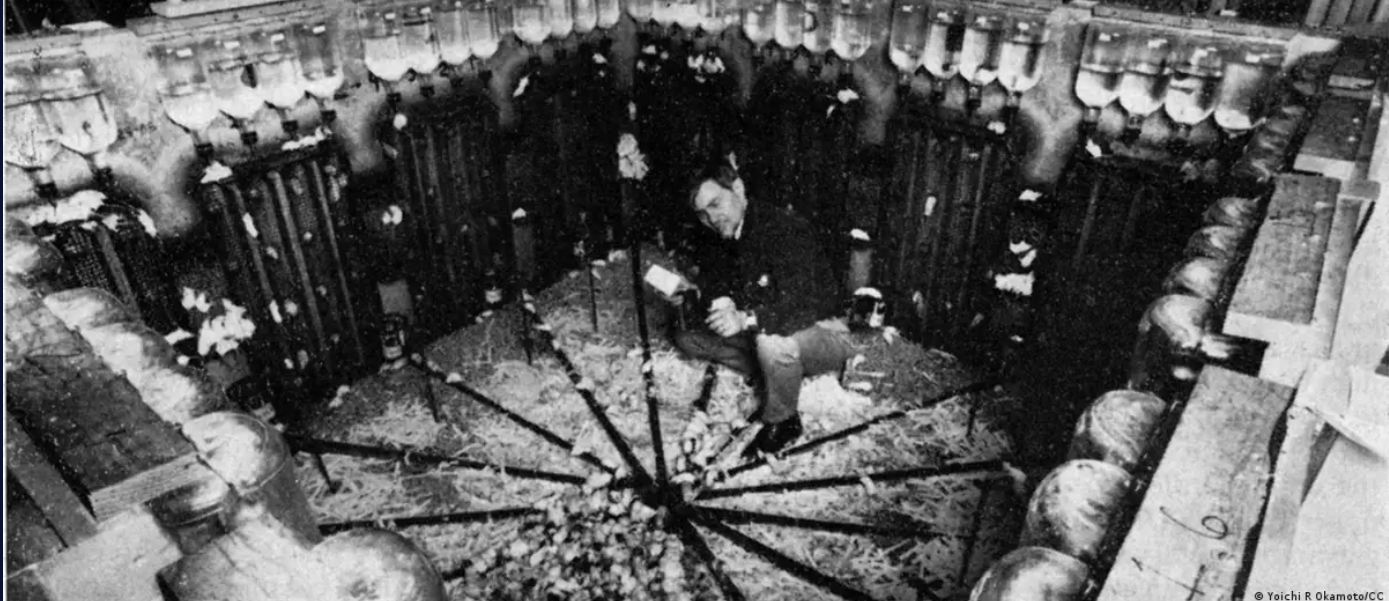 Estrutura do Universo 25