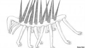 Representação gráfica do estranho animal, cuja evolução foi finalmente identifcada por cientistas