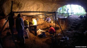 Chegada dos humanos à Europa teria contribuído para o declínio da população Neandertal