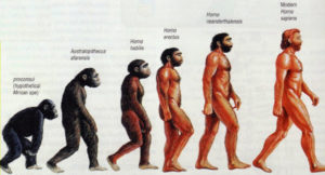  Cinco equívocos que se afirma sobre a teoria da evolução